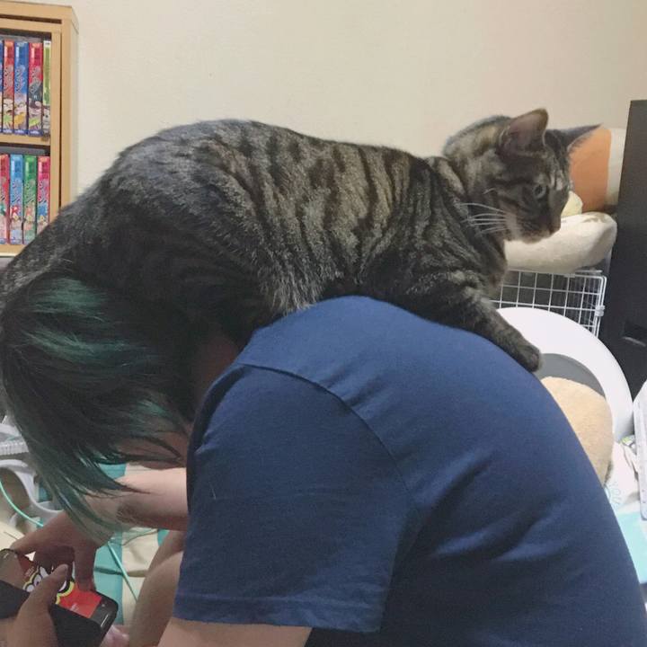 F19b8e6c edb3 4497 abc5 cbda9b781269 1598929257261