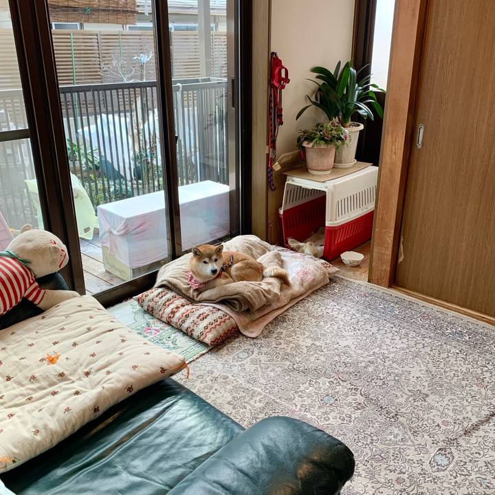 F19c0383 1937 4cd0 9eac 243a59b94623 1642762822343