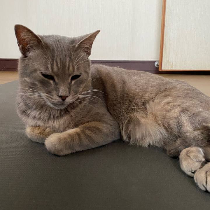 F19c2bd9 5eb0 4bc1 bdb7 b55a2bc90245 1586753158557