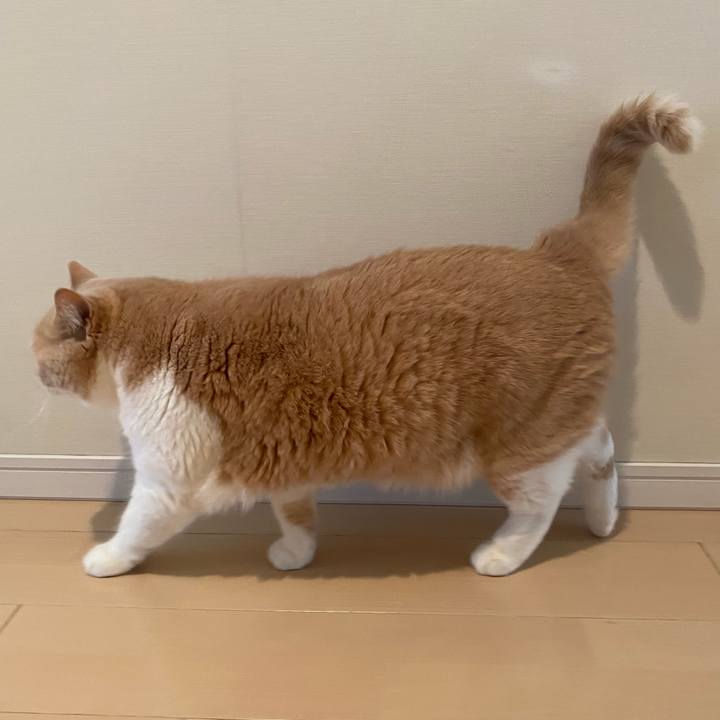 F19c3be3 b921 485c 8fb2 b5780dc0264e 1599529136705