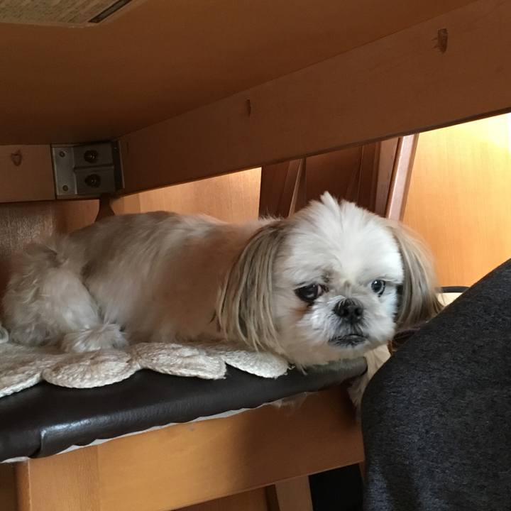 F19c5318 15d7 4705 a8aa 012e85682d3c 1540691181171