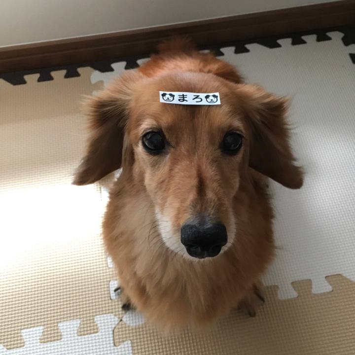 F19c9c48 c07a 46b4 bb4f b51b64b7b550 1623759553146