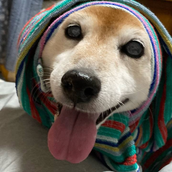 F19cd838 cb1e 4da2 88e9 b78a2bb524e4 1692686951141