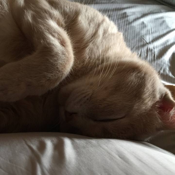 F19d0885 e6f3 4b2e 9305 0a17d8072e69 1627082317892