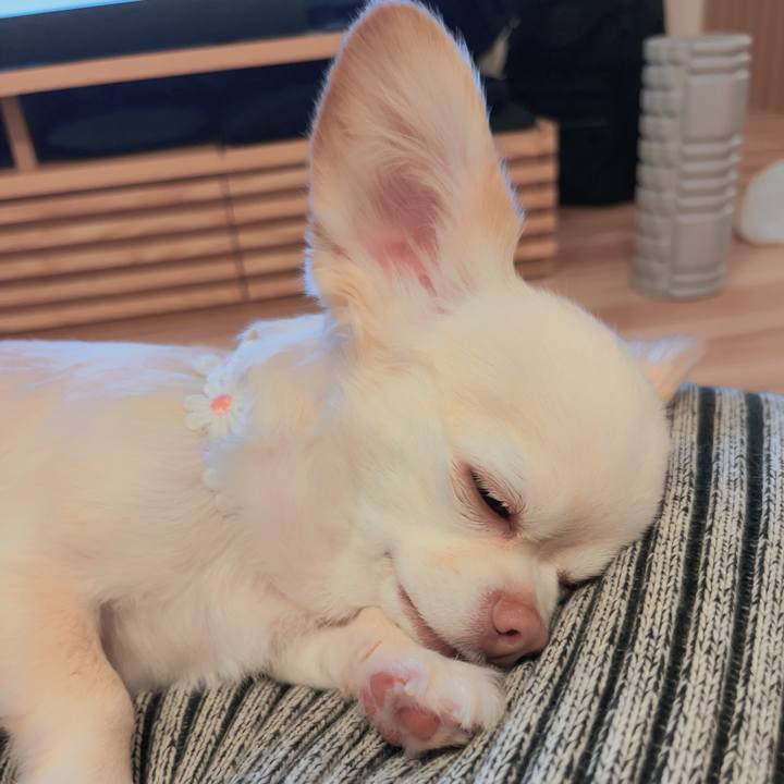 F19d6d19 4bfb 4754 beeb 45e08ed57ca3 1757927860344