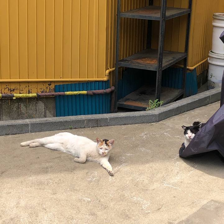 F19d91a2 71b2 477c 99da eb78573c76d3 1623307614506