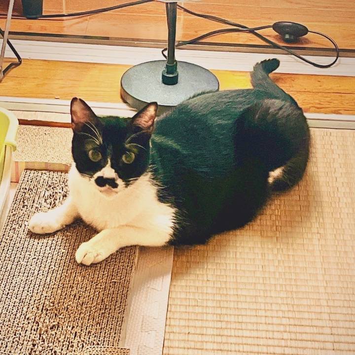 F19da723 3529 4127 a2db 983e53f786f9 1654092043939