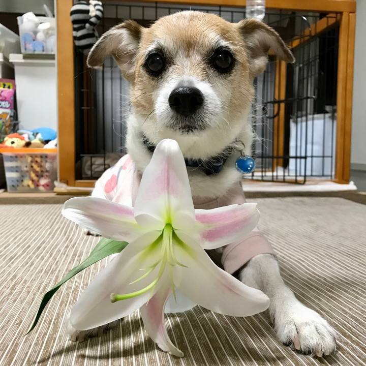 F19dbe19 d7b0 4928 b154 6545e37e58d0 1634555220007