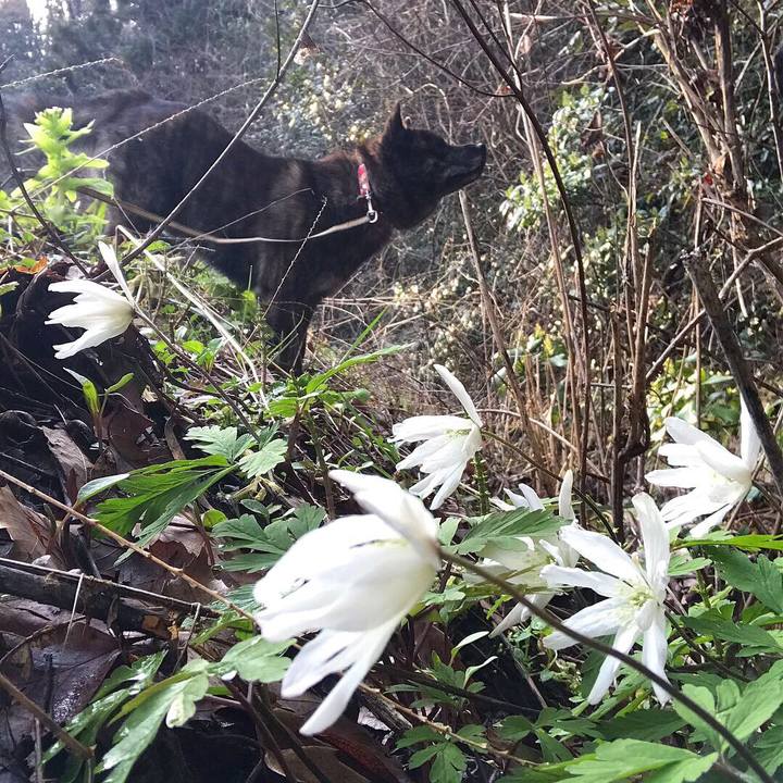 F19dd355 9bfb 46b8 9c5d 26650bd079ec 1554422558397