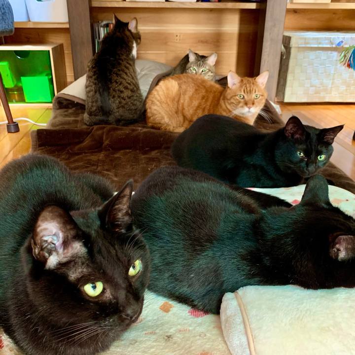 F19dfb62 a07b 42bd 829c 21ffcb8dfafe 1669618321651