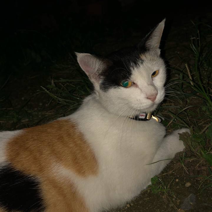 F19e0029 ae4f 4661 b716 b7eb397275df 1630409683735