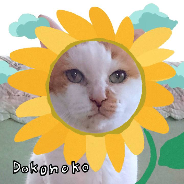 F19e611d 5140 4abb bfa1 73baab56571f 1723343589301