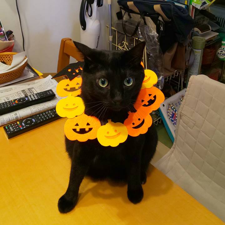 F19e6669 e2c1 456b b627 839ecec82a0e 1665798280559