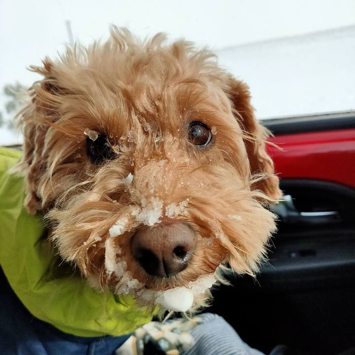 F19e6ef8 7156 49e0 8c57 7d0f6916a0c7 1608350397851