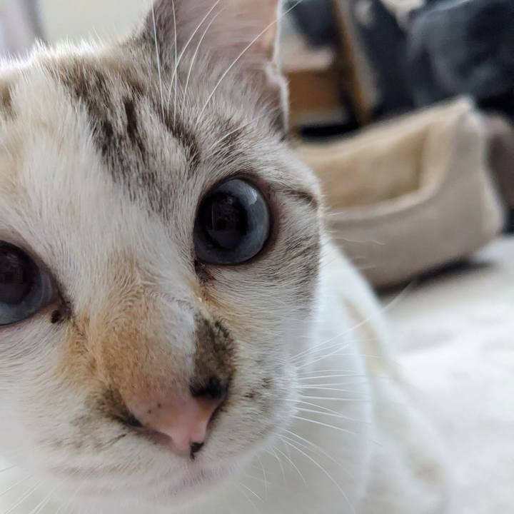 F19e8921 fb3e 47dd 9786 da79d10e502b 1702122594126