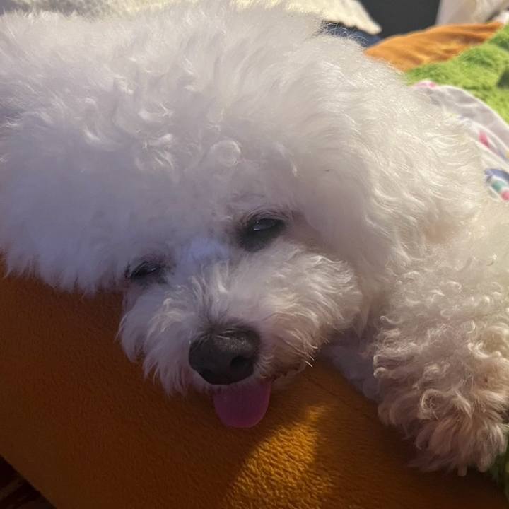 F19eb394 b514 496c bc78 7edb1a11a2eb 1753099669117