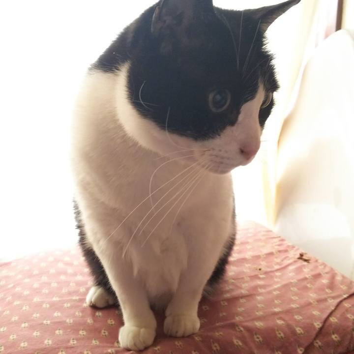 F19edbcb 094a 4b51 8ced 82219400c088 1557059114050