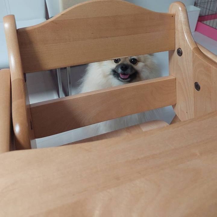 F19f1411 61e8 422f 845b 00cc67bb8bde 1666059857567