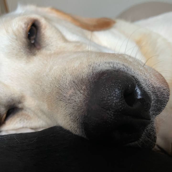 F19f4eba b6c4 455b 94d1 cf71f5a48b88 1638400376404