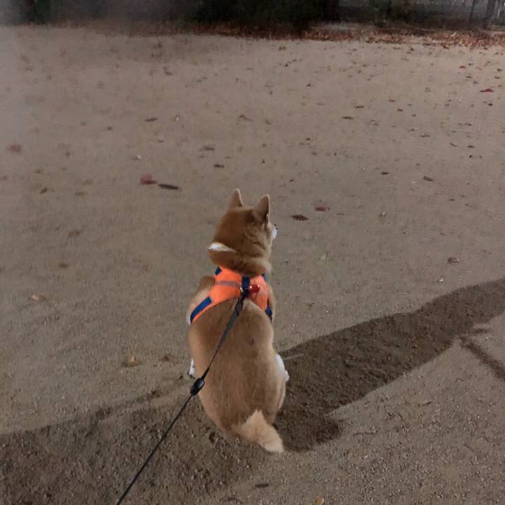 F19f5e18 e691 410d bfba b3a16c3aab22 1574682955600