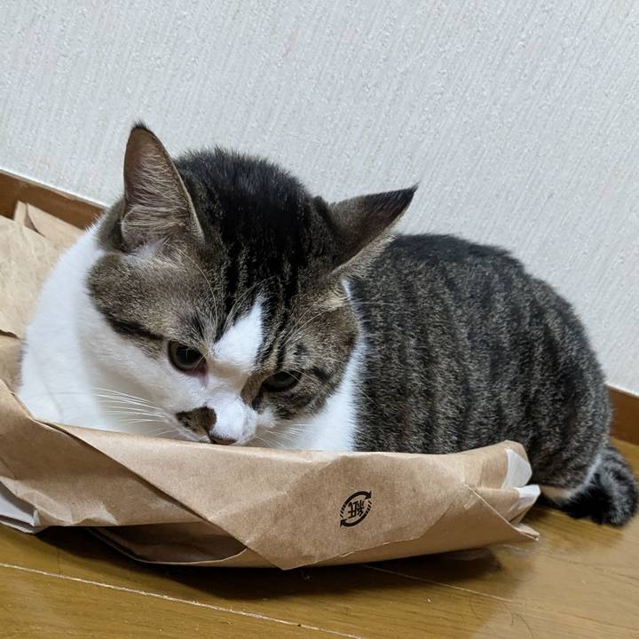 F19f7c56 0ffc 4bc8 b885 dc432fafa814 1729769896504