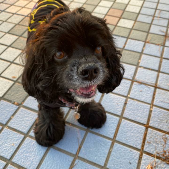 F19fc65d 3596 413a 9081 9810f80d429d 1653221757894