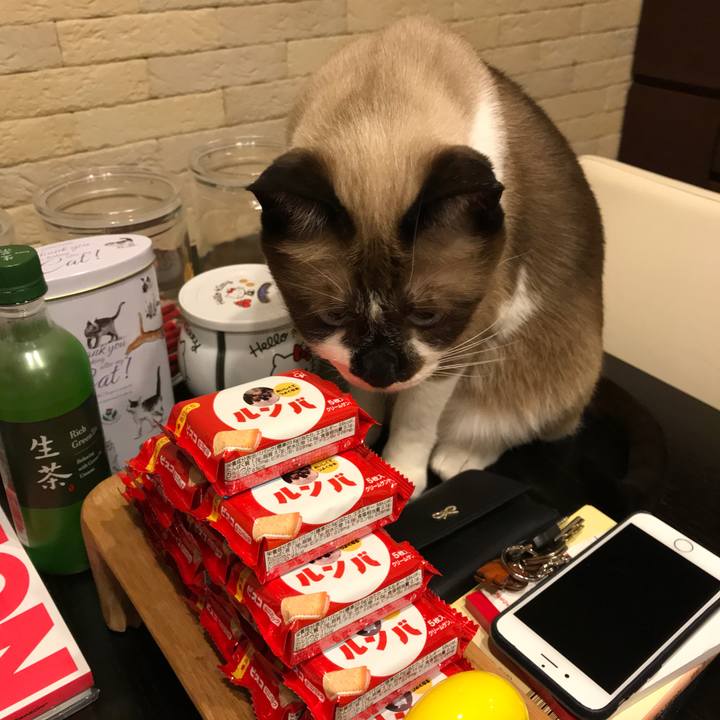 F19fc766 9a47 46f7 8ea1 40793524148b 1567477578850