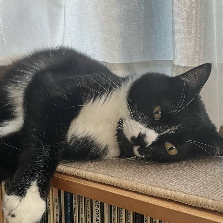 F19fd77f e67b 4f29 8479 cf95647d3c63 1687923107795