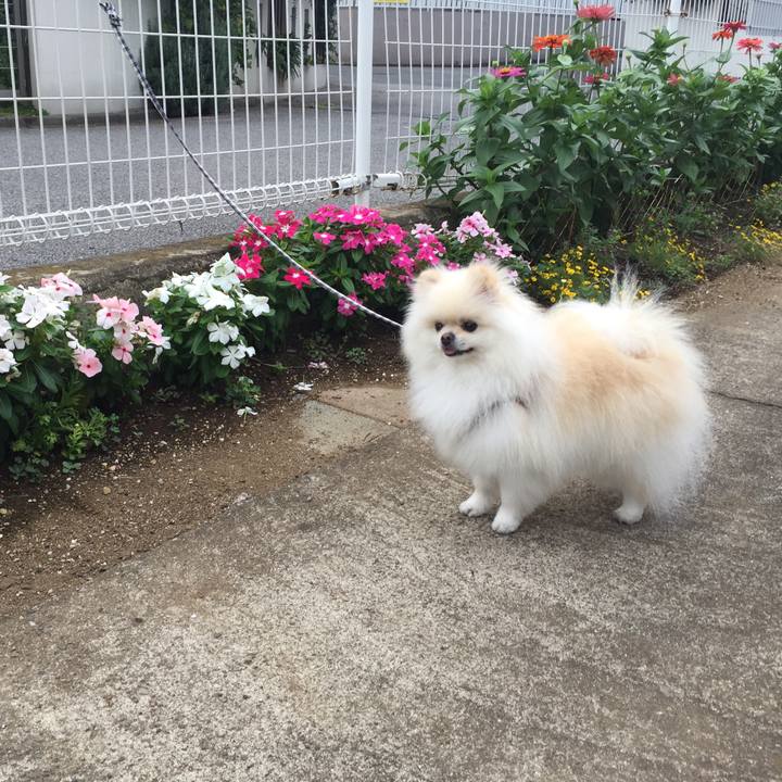 F19ff149 d7e0 4b00 8fbb a2ffa454bec6 1565676486569