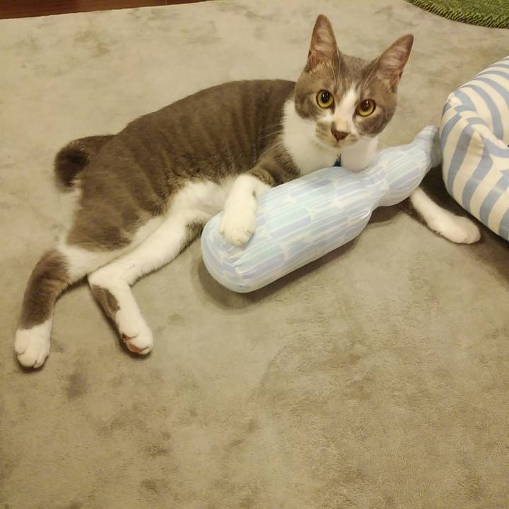 F1a015e6 f0cc 48b6 9114 7e3d026076e5 1594297594947