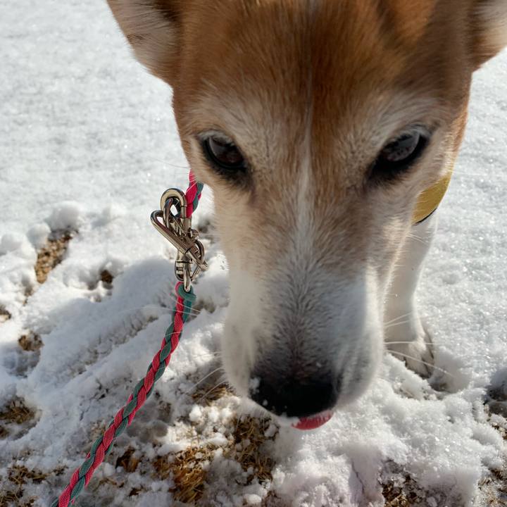 F1a01eec 2329 4ce9 8945 924a0ec80d20 1549762678947