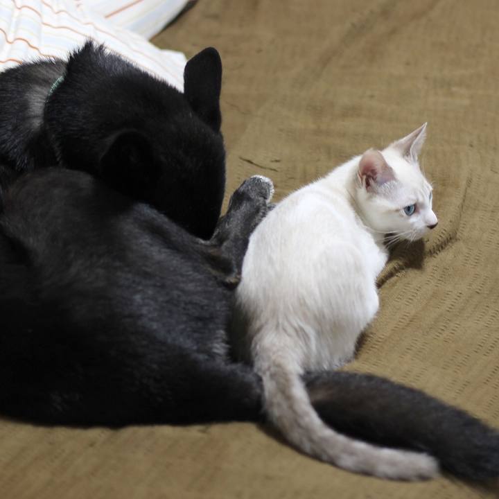 F1a03005 a900 4ec1 99f5 0af4e5db92c3 1601593397663