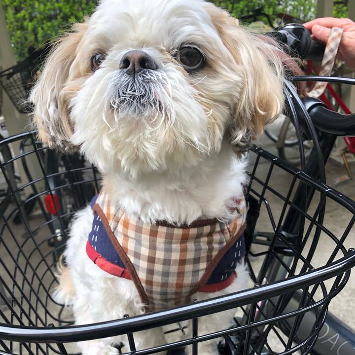 F1a04178 3f6b 4696 8cc9 58d3c3b8eda9 1521409633934