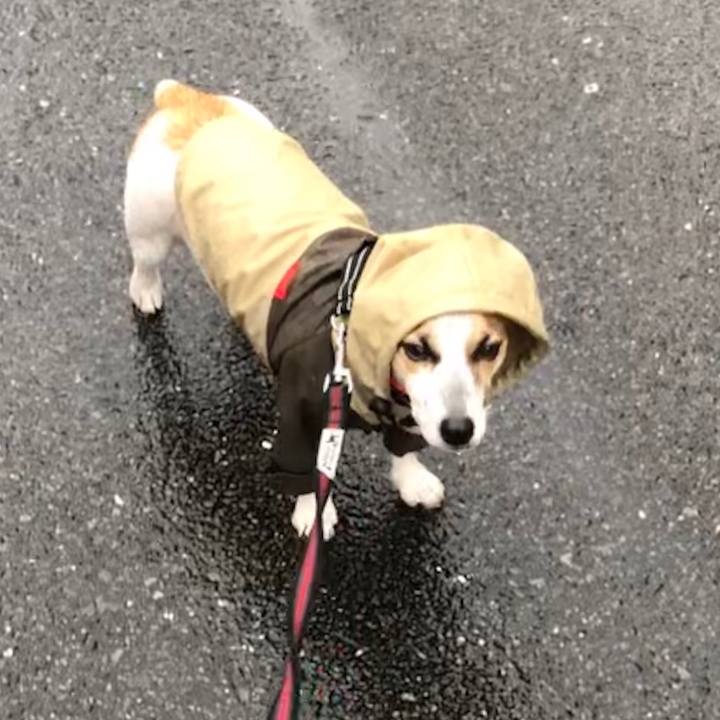 F1a06576 e92b 4cf3 ac00 25a22708b6f9 1566607835165