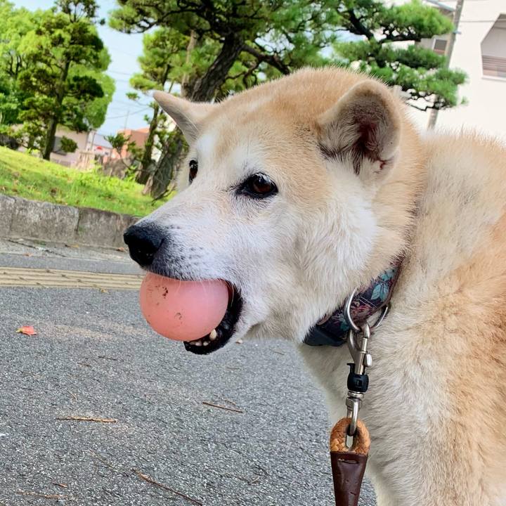 F1a06592 2896 4ce6 92ba 3c63fb4105dc 1752585689392