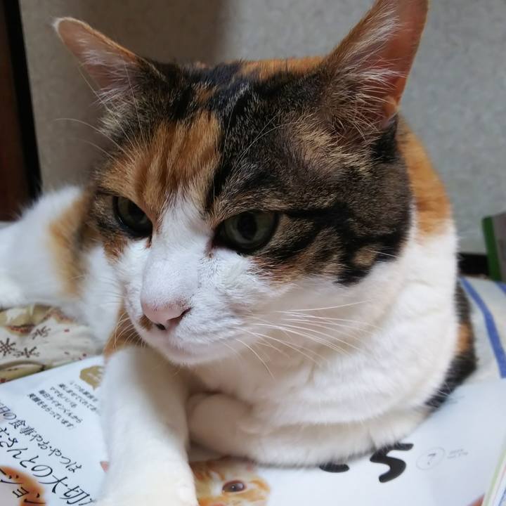 F1a08151 4283 4711 981b 27024b22bb9b 1564091155541