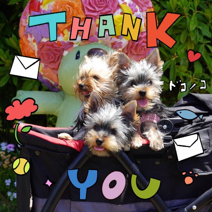 F1a08bff 51d7 468f ae59 0a8f8db84cb1 1715342548743