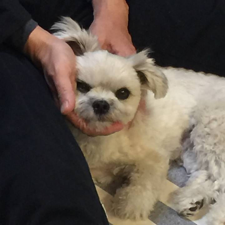 F1a0a978 3916 4f29 9a94 17574ccd6aa1 1515409782868