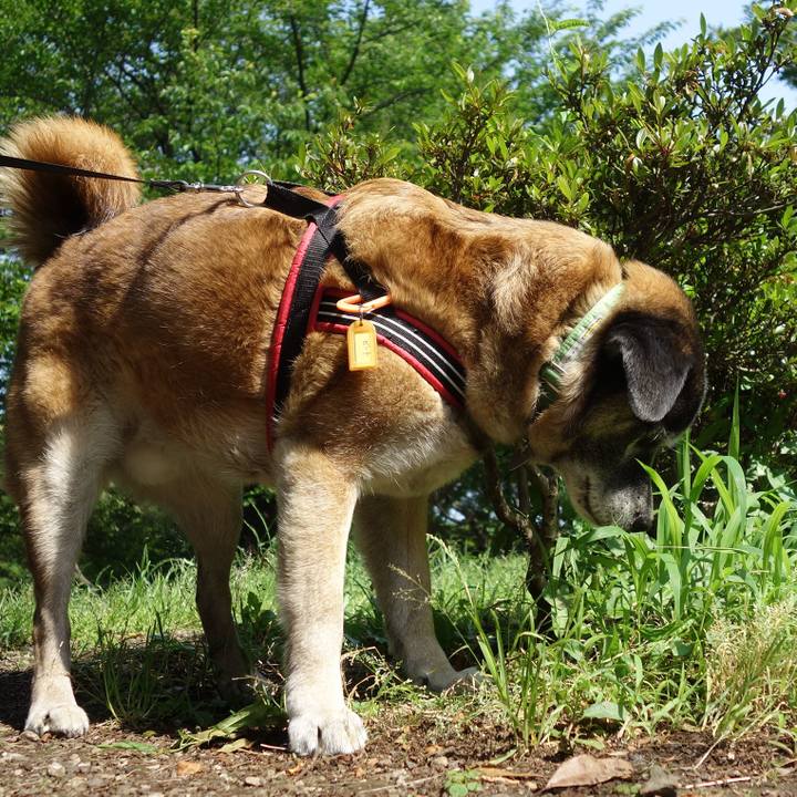 F1a0cce9 7e14 4c7e 8477 adbb93d3044a 1527384397813