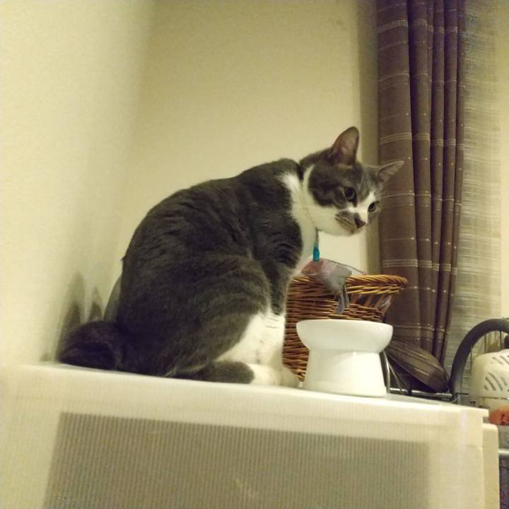 F1a0d0fe bedd 4421 8a3c 9659713d6b8e 1626181164870