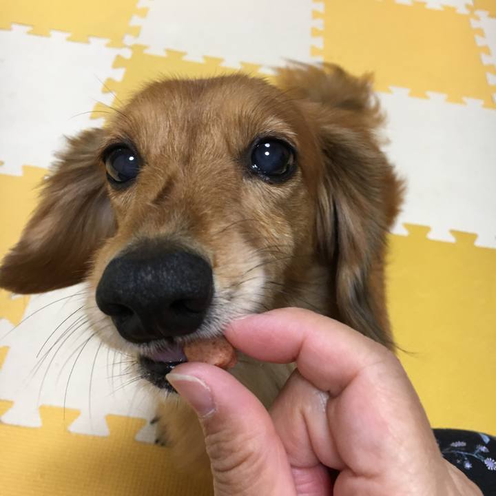 F1a10161 e1f0 4b4c a852 6b7d1a38e9c9 1529936001463