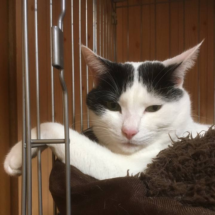 F1a12826 36b8 45b0 817a ce0bb8a1e778 1543059968963