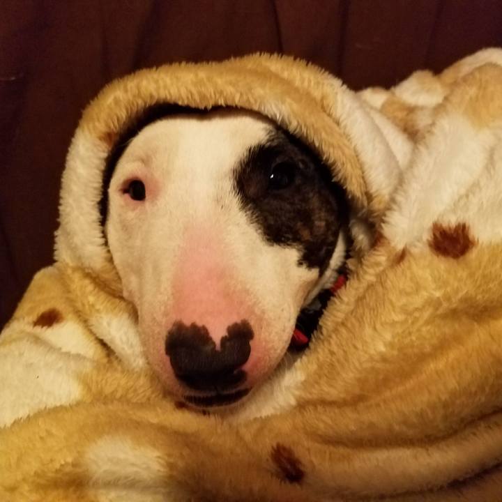 F1a1c3c8 6b43 43ef 88ba 5947010c4839 1510747294731