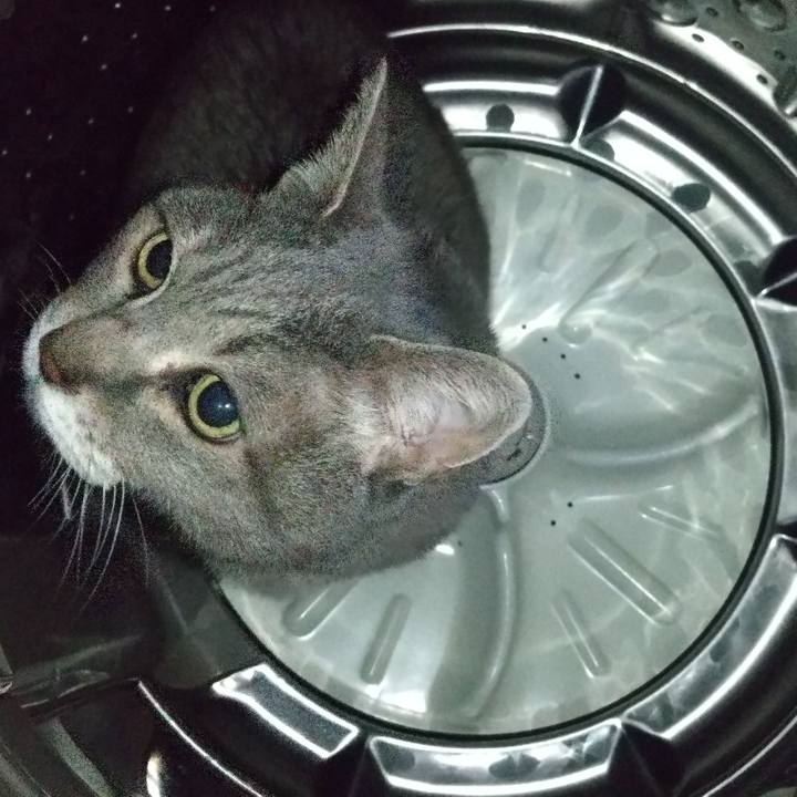 F1a1e47f be15 4255 894b 91b17cfd565c 1679408426155