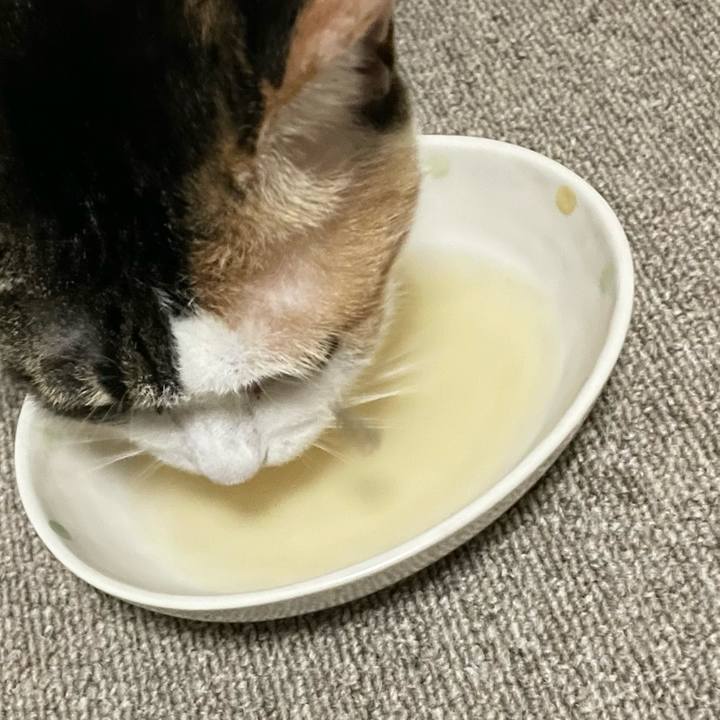 F1a22f03 05dd 4ecc beda e782b9e18c50 1664627004907