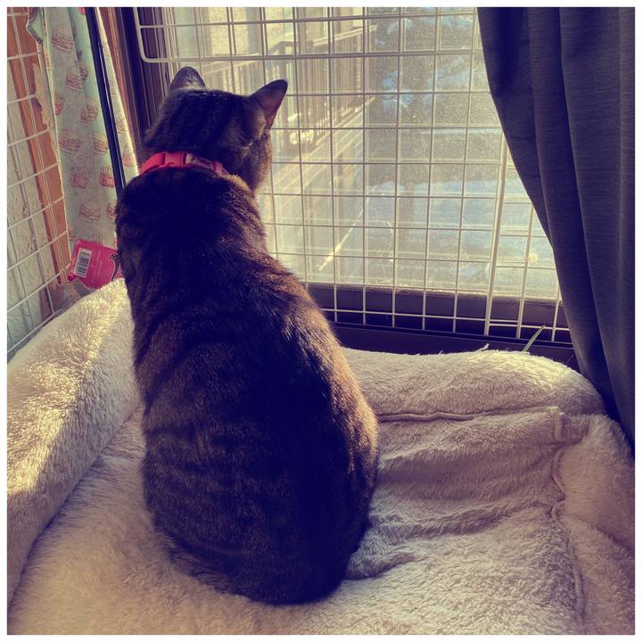 F1a250e5 79e6 4066 8f68 64bd0937a971 1609974595611