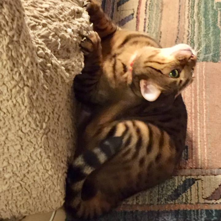 F1a2659d b454 451b a323 051326241bd2 1538003486842