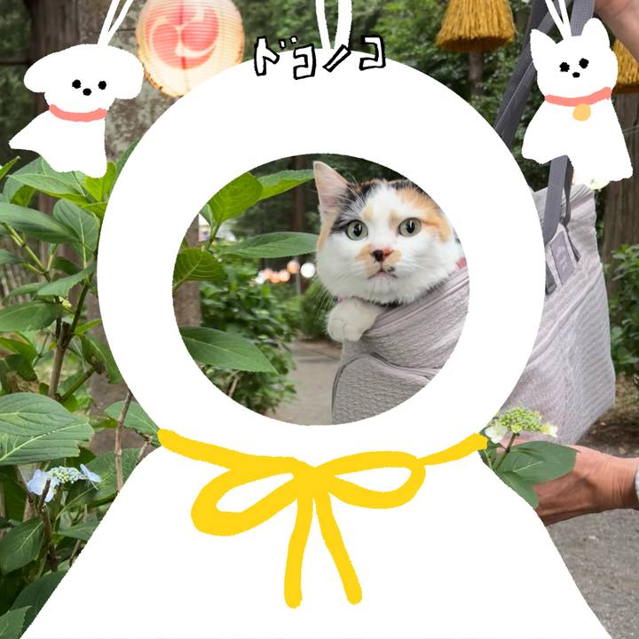 F1a29e0a b8f6 4a3e 8b07 c2a8971db6ed 1781562986992