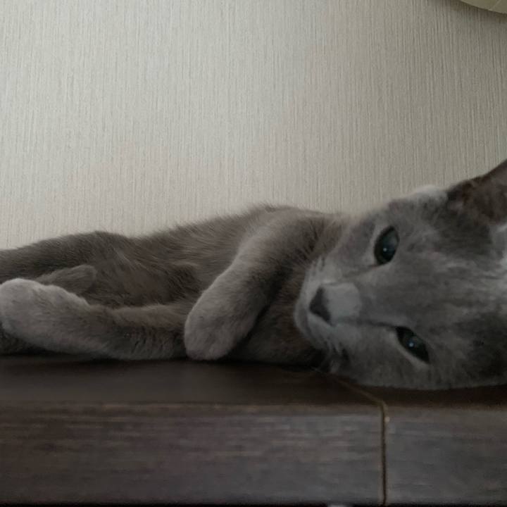 F1a2ae40 83a4 416f 908f c5f30dbee47d 1640041049039