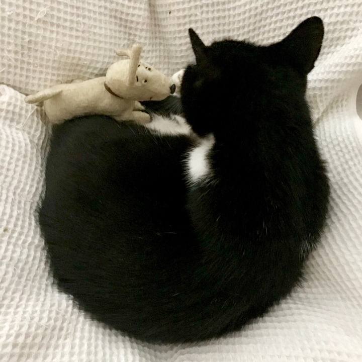 F1a2b4fd c049 46ec b7d7 a99dd781ba82 1562645513783